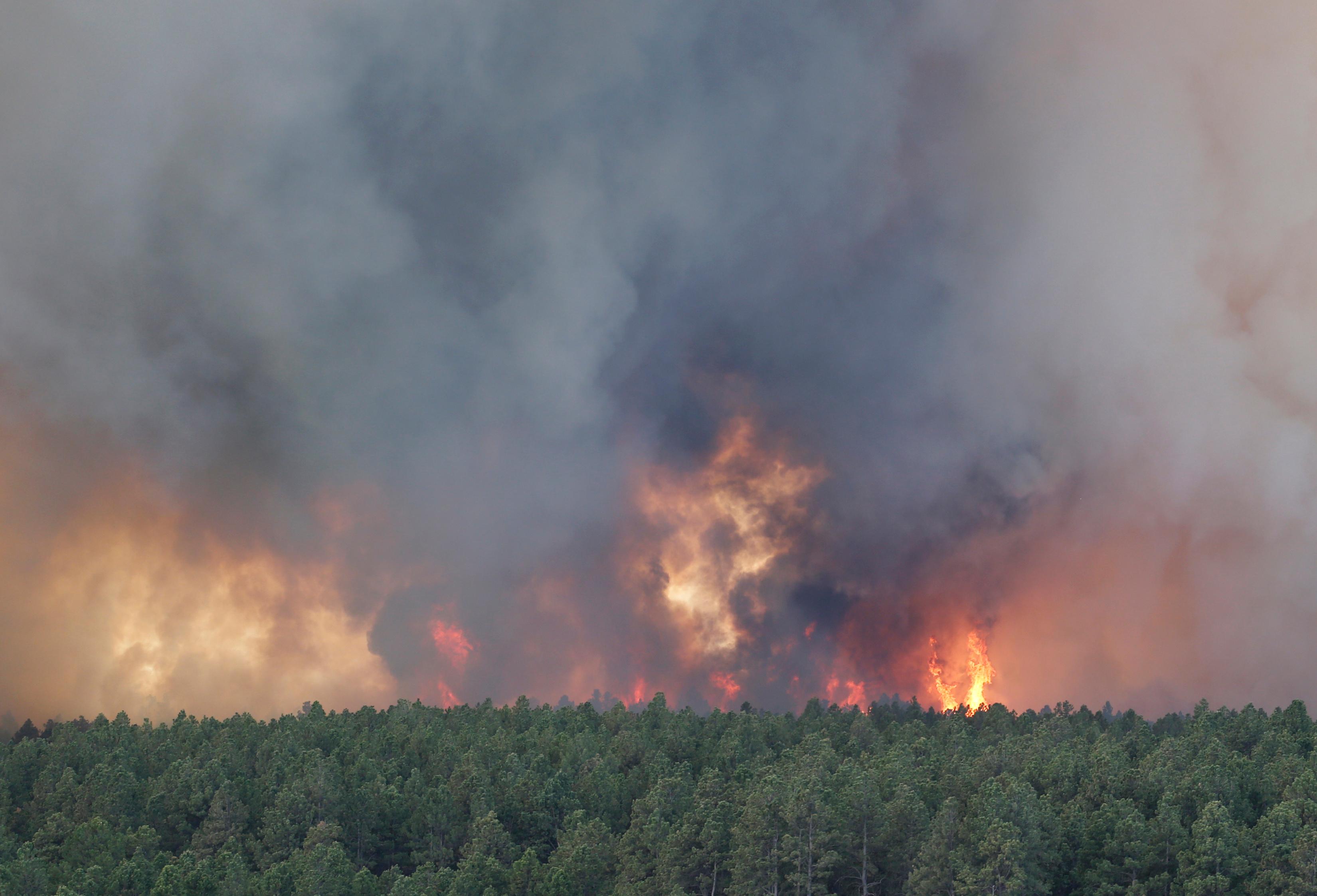 Black Forest Fire 1