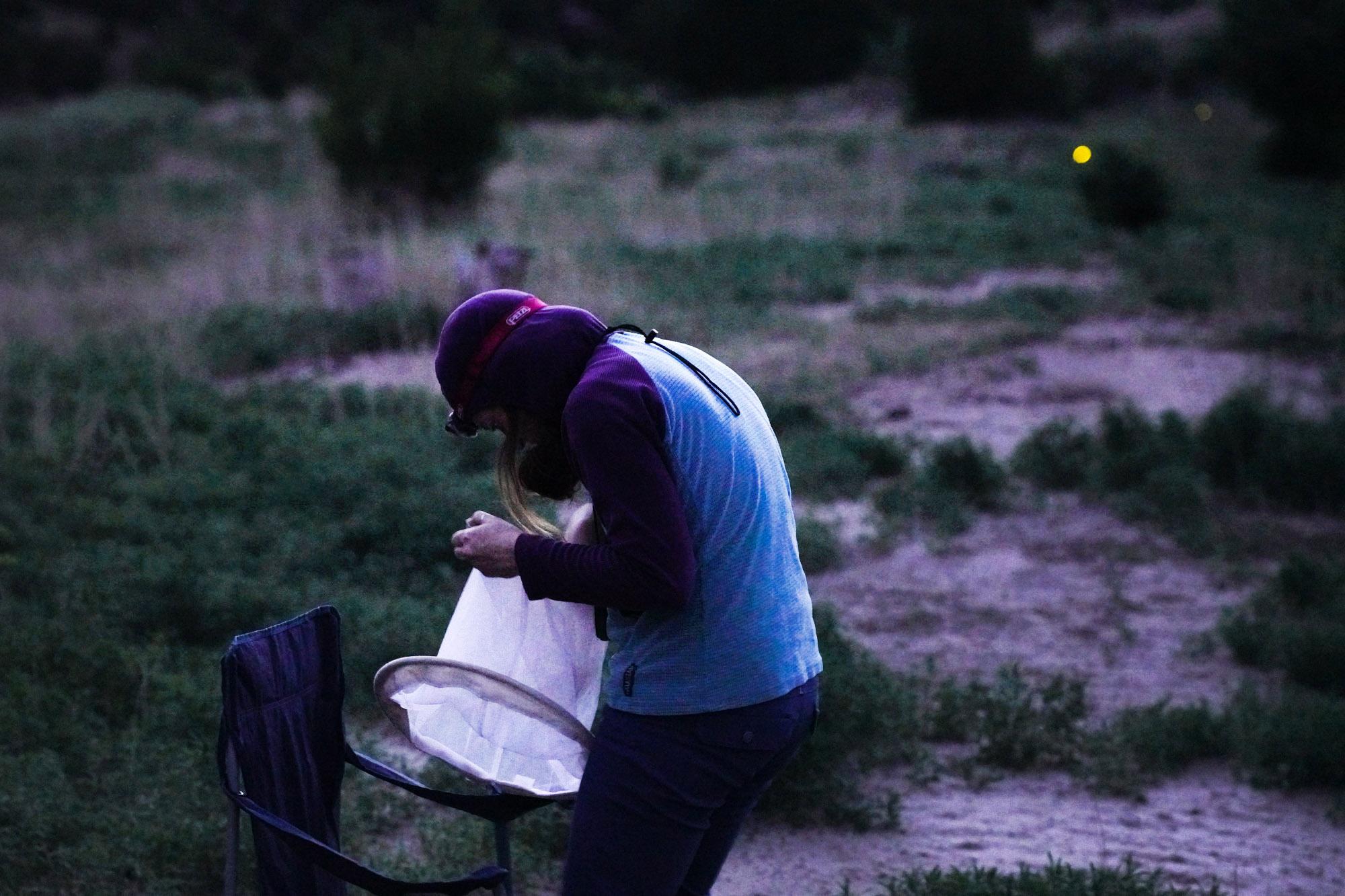 Chasing fireflies in the hidden corners of the dry, dry West