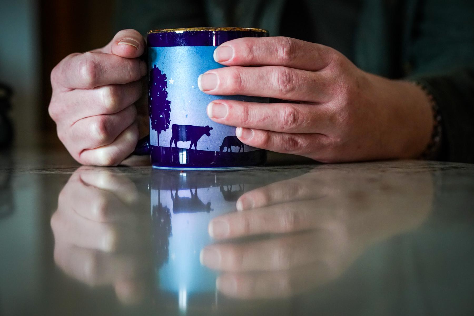 Closeup of a woman's hands, holding a blue coffee mug with a night time farm scene on it.