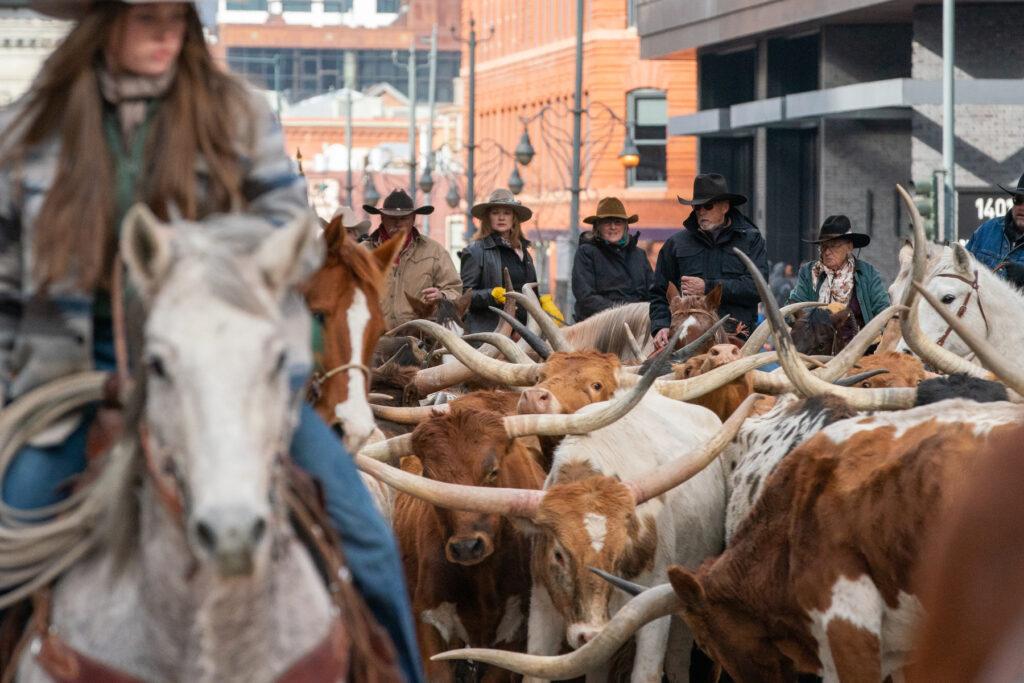 The National Western Stock Show parade