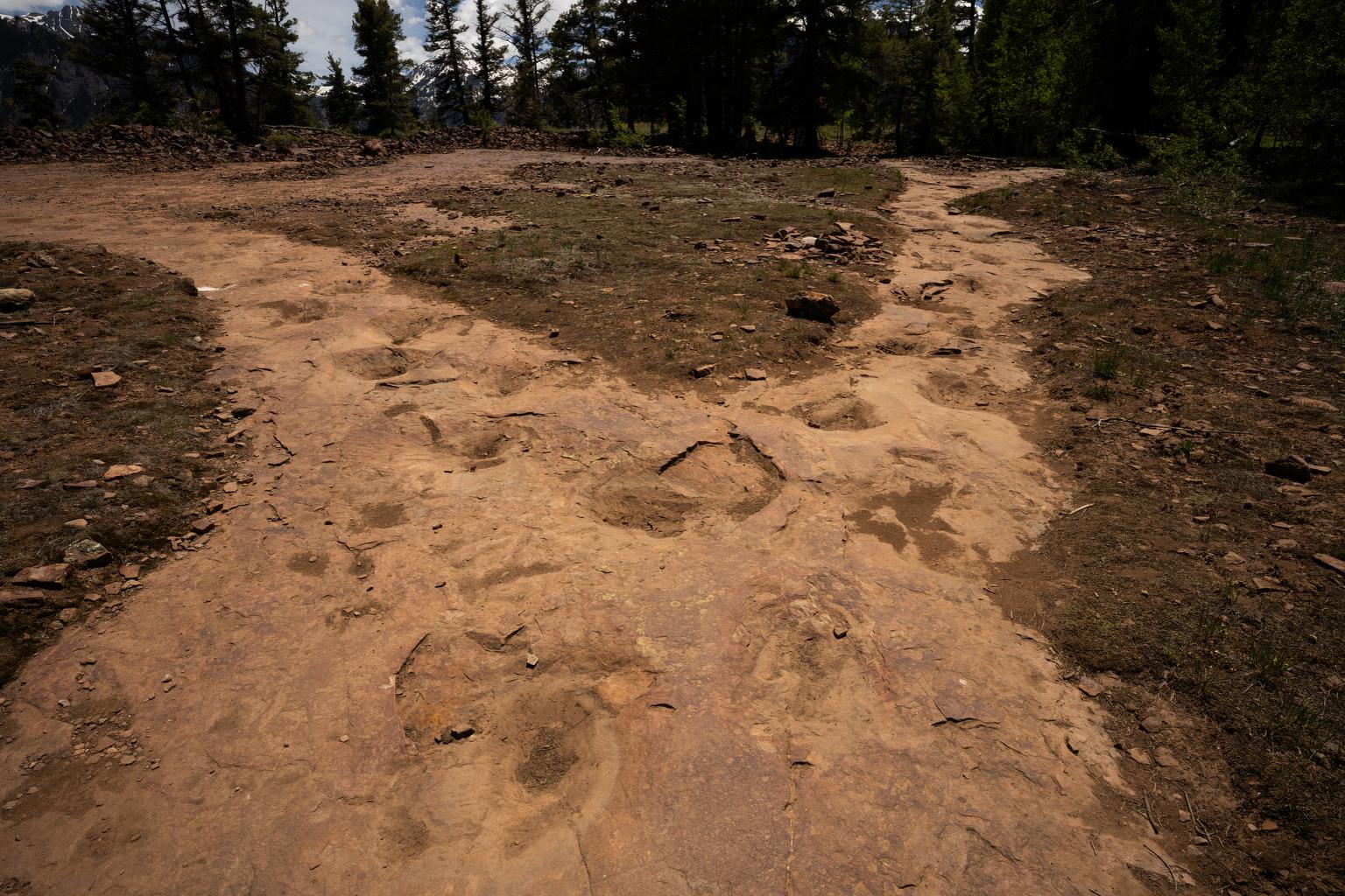 TRUJILLO DINOSASUR TRACKS OURAY