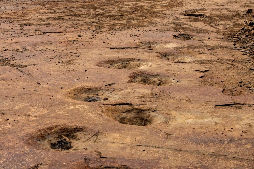 TRUJILLO DINOSASUR TRACKS OURAY