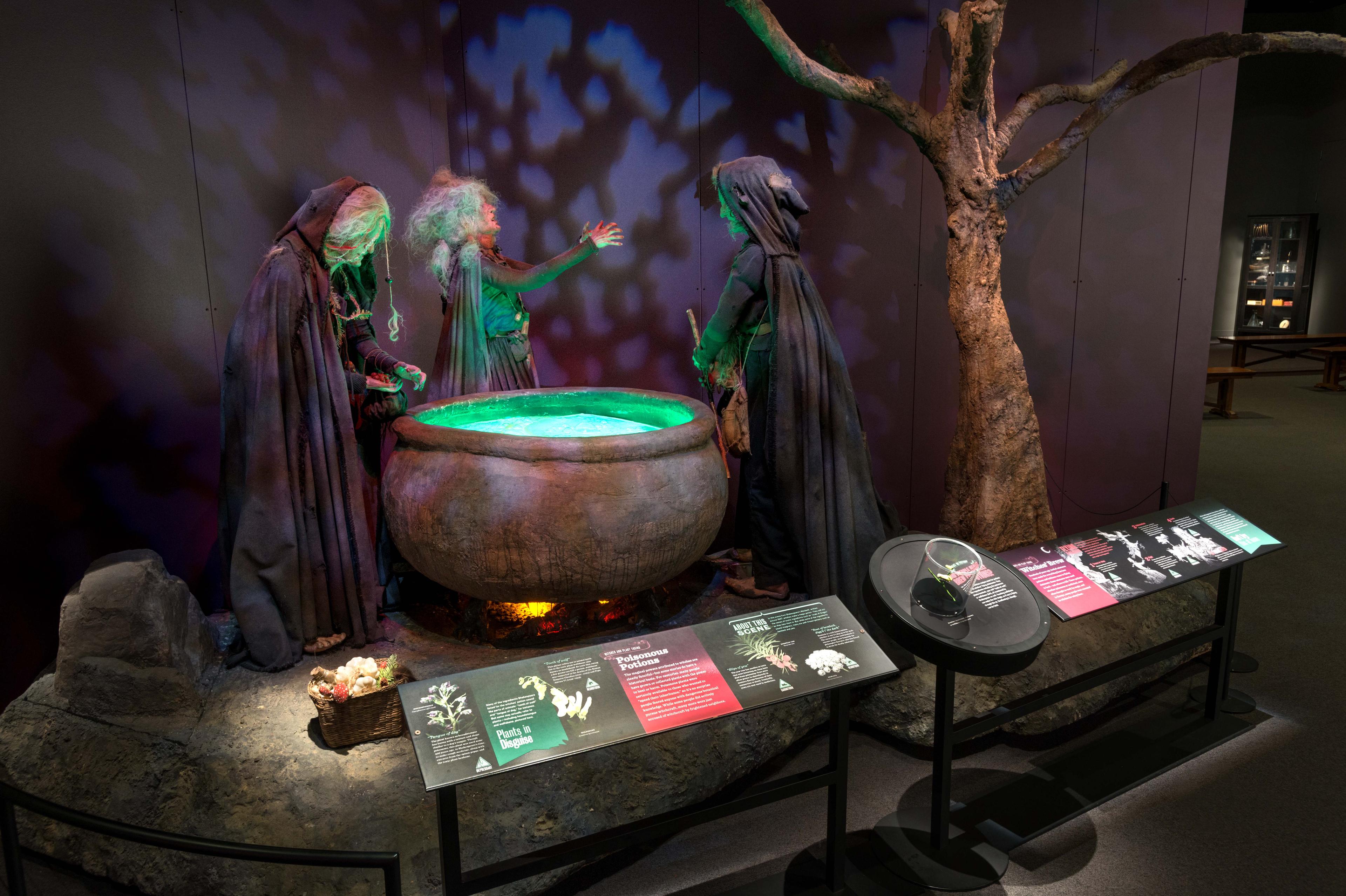 An exhibit with three witches around a cauldron