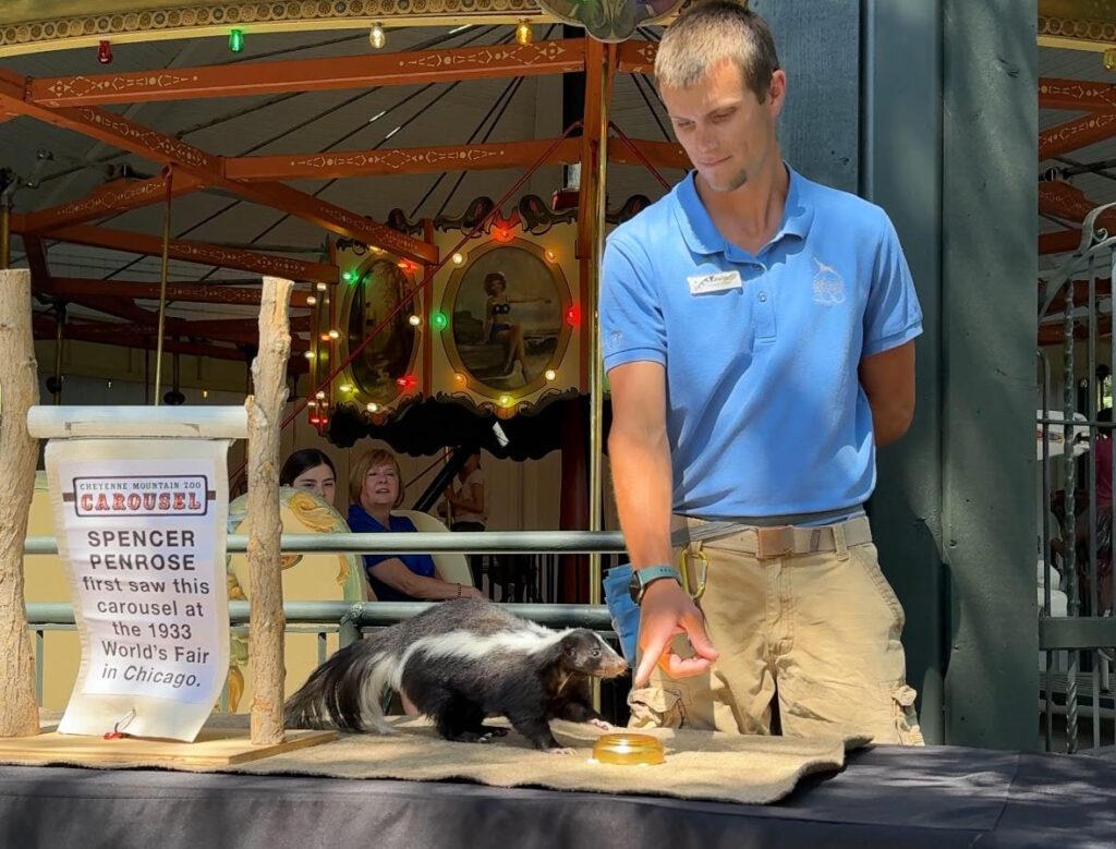 a man in a blue button down shirt adjusts a stuffed skunk plaque on a table