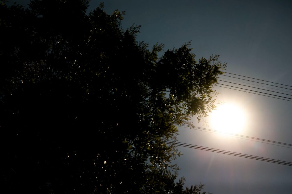 The shape of a tree and powerlines are silhouetted by a bright orange sun.