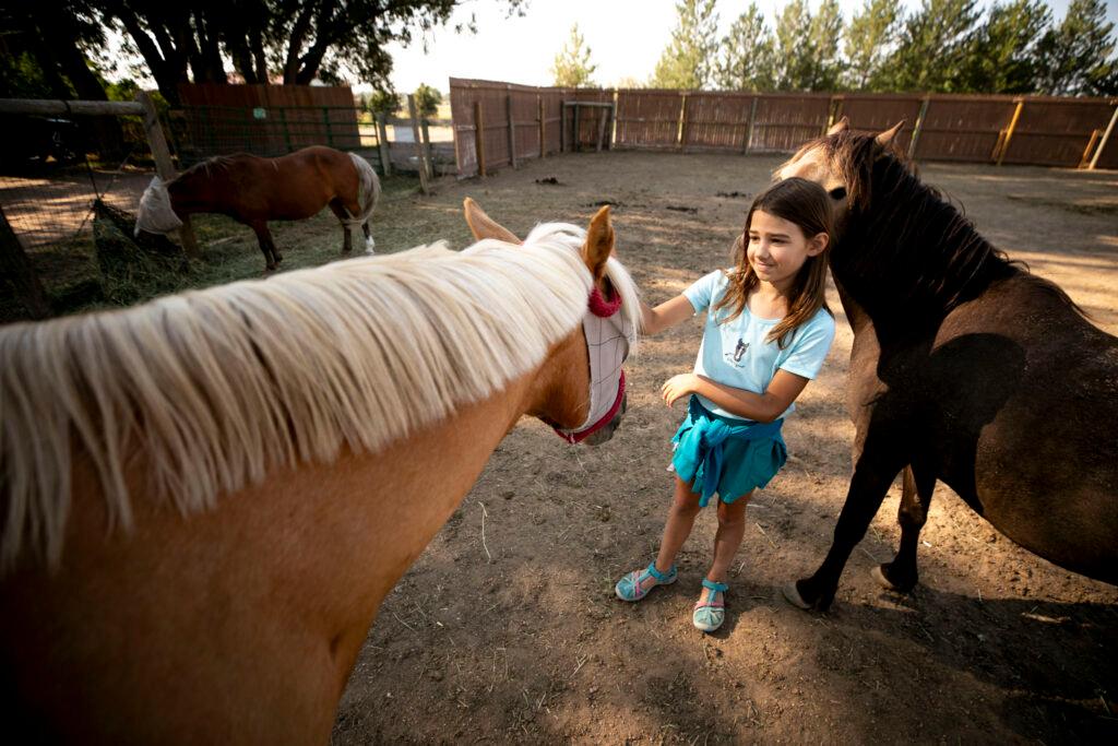 A girl stands in a pool of light in an otherwise shaded yard, petting a tan horse as a brown one behind her nibbles her ear.