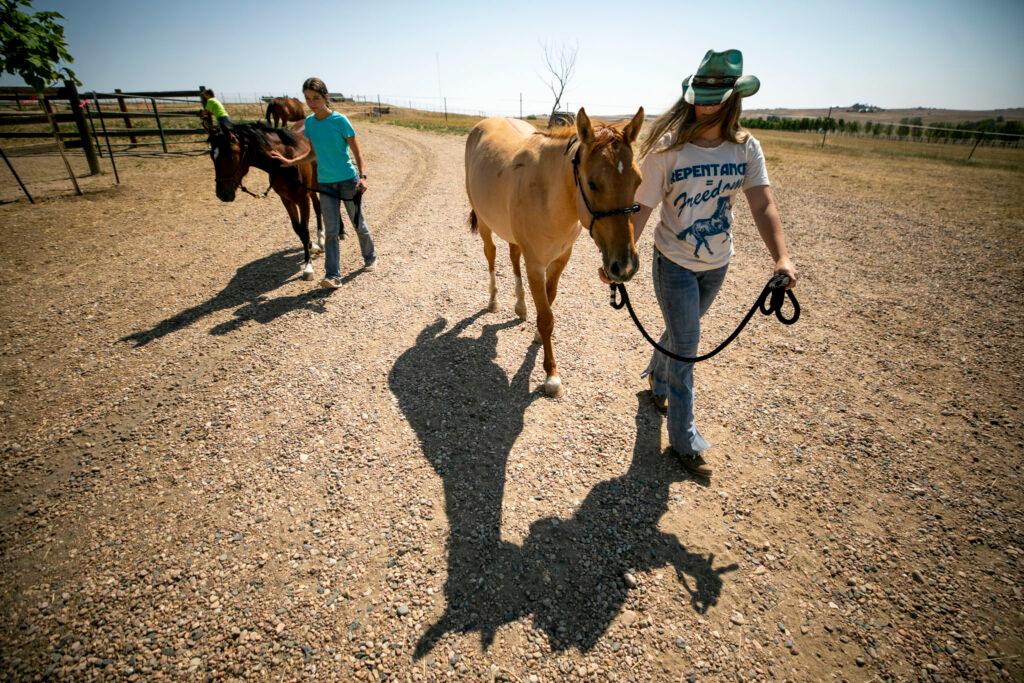 Two girls walk two little horses over a gravel road.