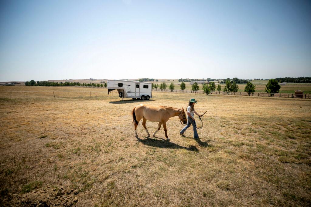 A girl in a green cowboy hat walks a little tan horse over a field of yellow grass.