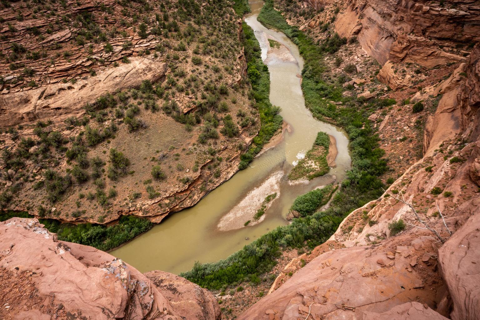 Part of the Dolores River Canyon