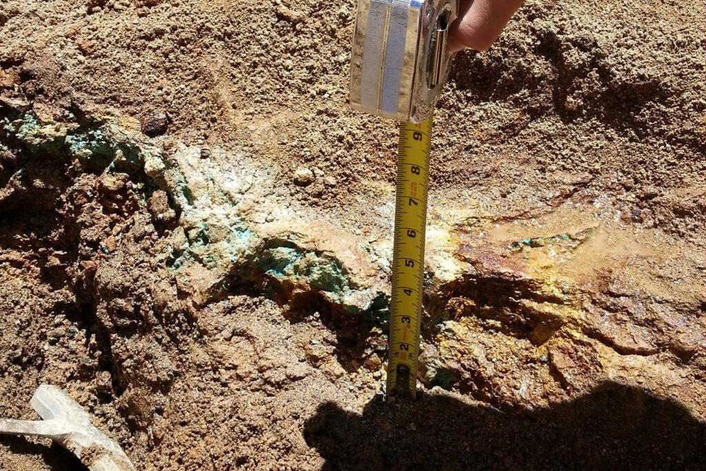 A vein of turquoise just uncovered from the ground with a tape measure showing its thickness at around six inches