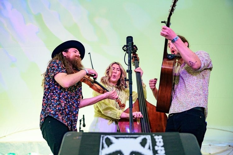 Damn Tall buildings, a three-piece bluegrass band, playing a live show.