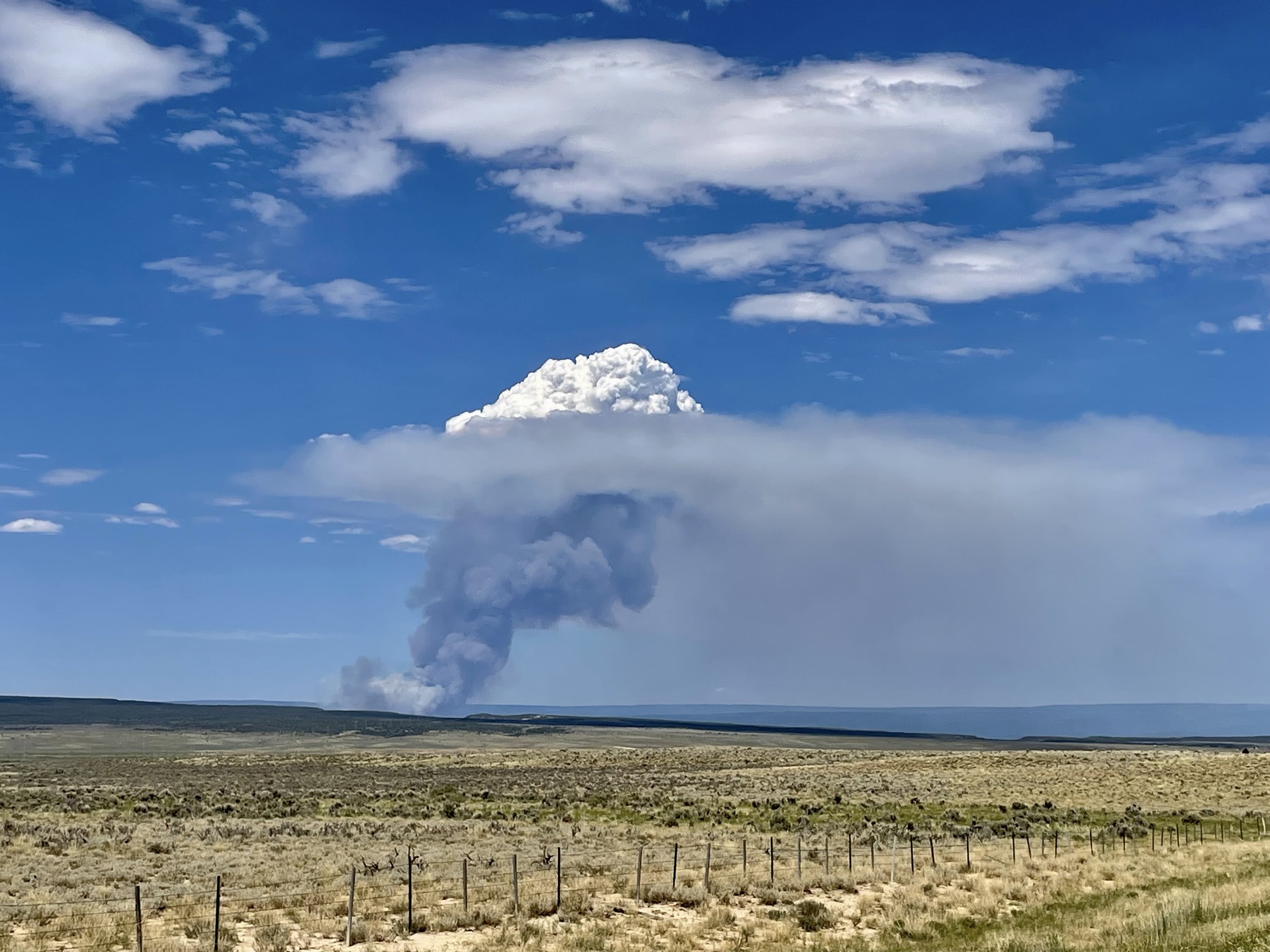 A column of smoke from the Bucktail fire