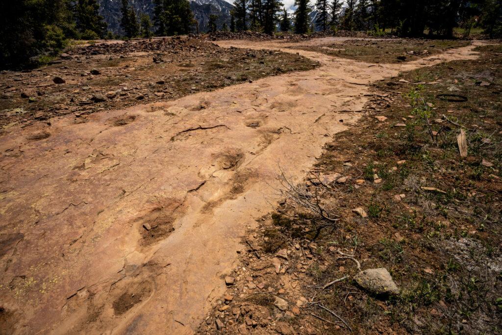 Exploring dinosaur tracks in Ouray