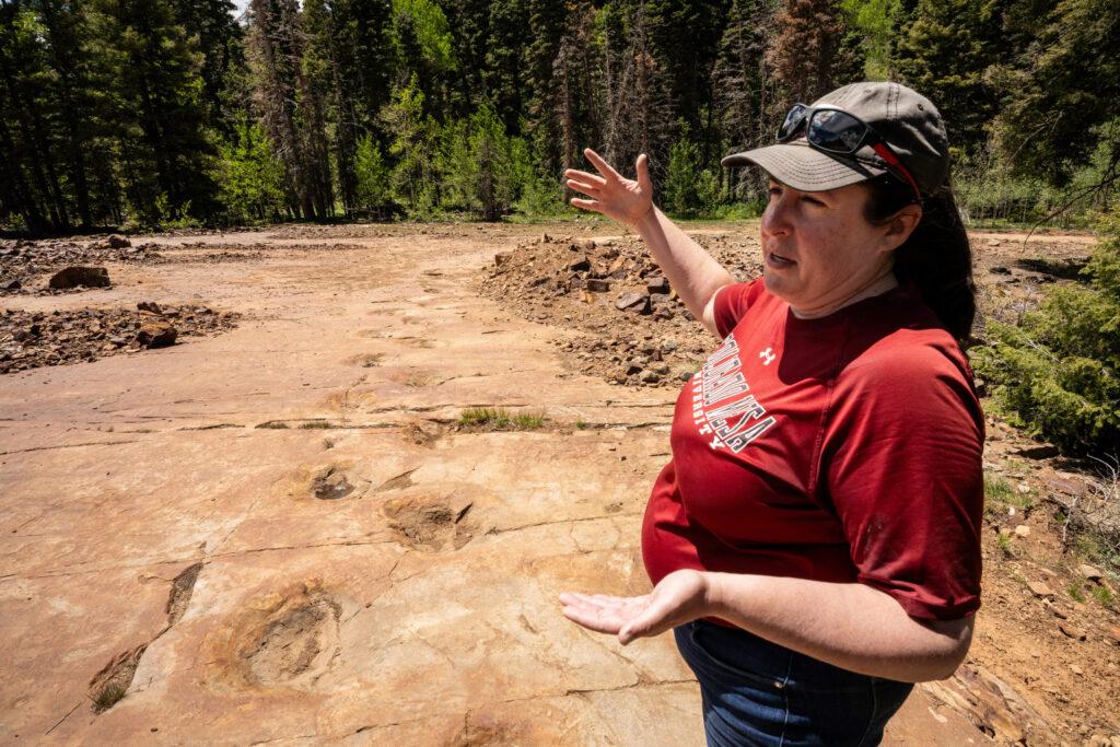 Exploring dinosaur tracks in Ouray