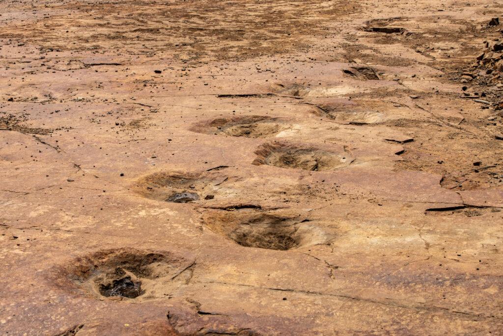 Exploring dinosaur tracks in Ouray