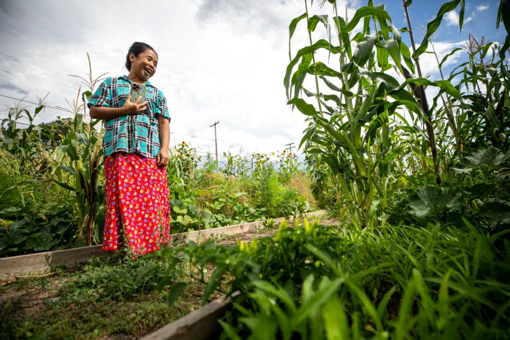 A woman in a red skirt and a teal shirt laughs, standing over a plot overflowing with green eaves and tall stalks of corn.