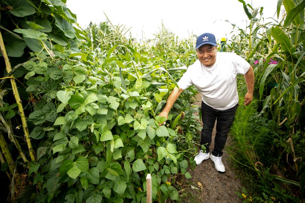 A man in a blue ballcap smiles wide as he reaches into a plot overflowing with green leaves.