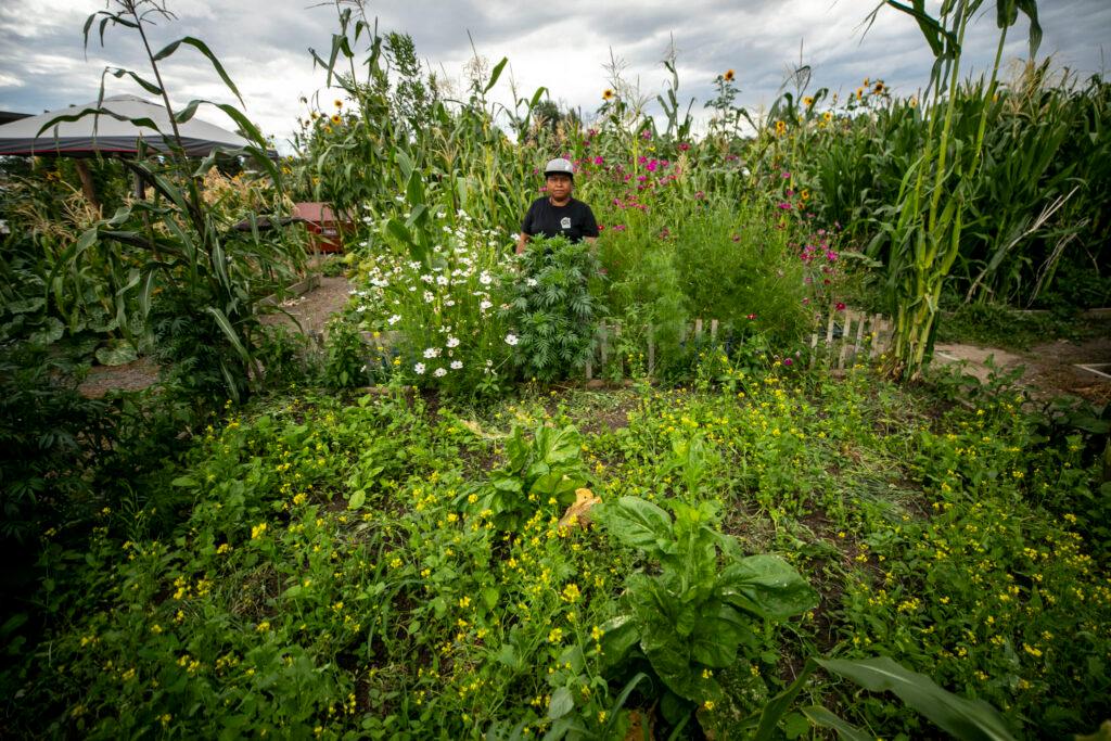 A woman in a flat-brimmed cap stands behind a plot filled with green plants and green, white and purple flowers.