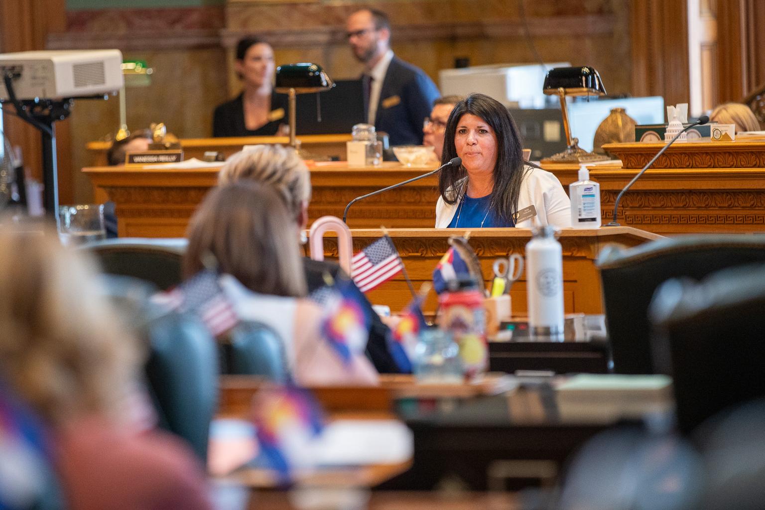 House Minority Leader Rose Pugliese speaks to lawmakers during a special session of the Legislature