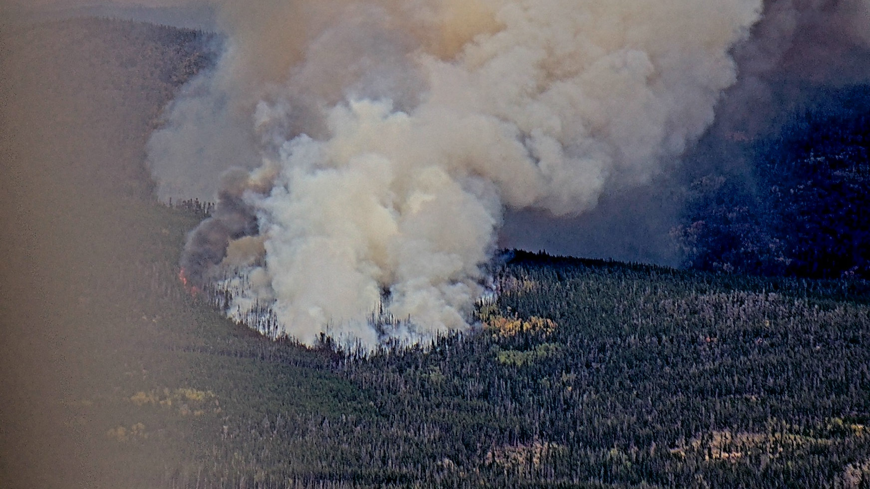 A view of the Pearl Fire