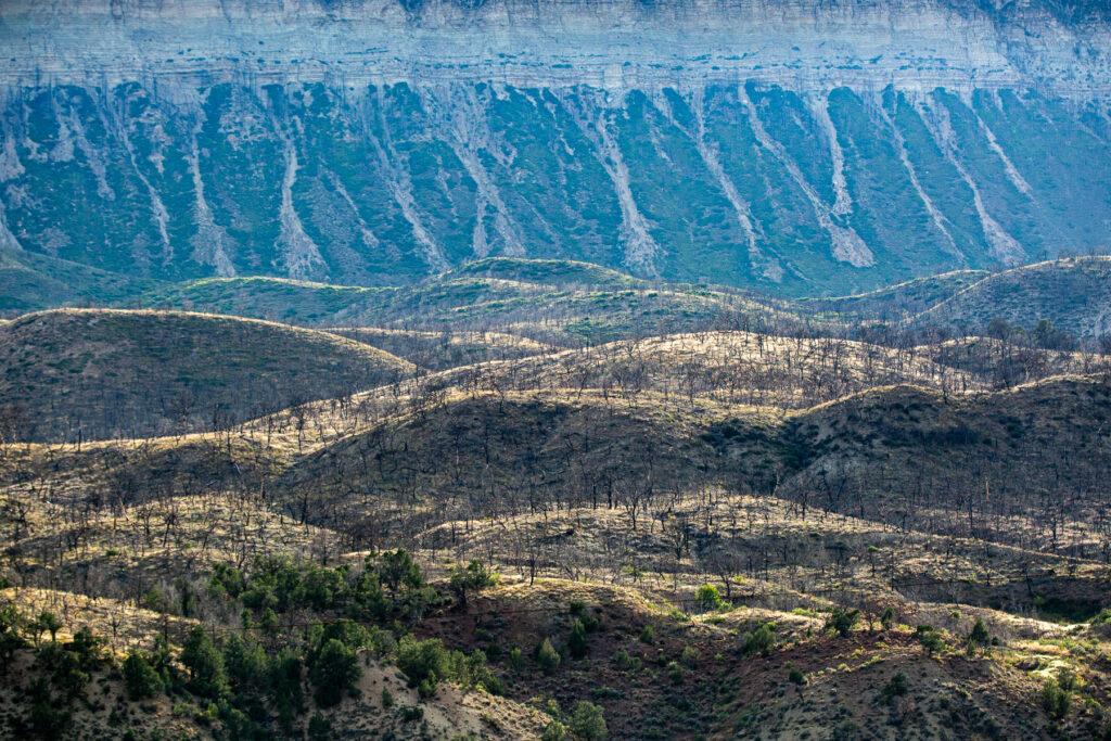 WILD HORSE ROUNDUP AT LITTLE BOOK CLIFFS