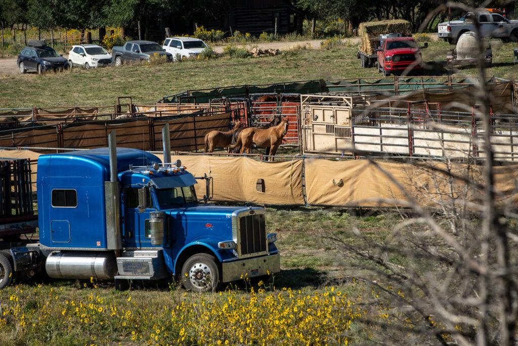 WILD HORSE ROUNDUP AT LITTLE BOOK CLIFFS