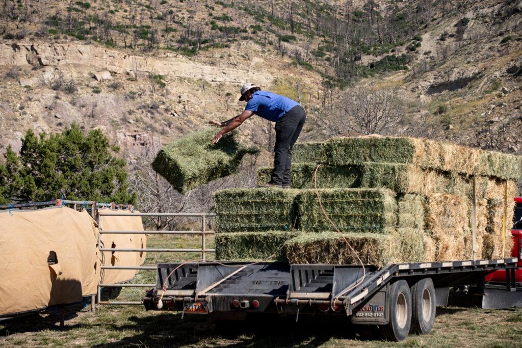 WILD HORSE ROUNDUP AT LITTLE BOOK CLIFFS