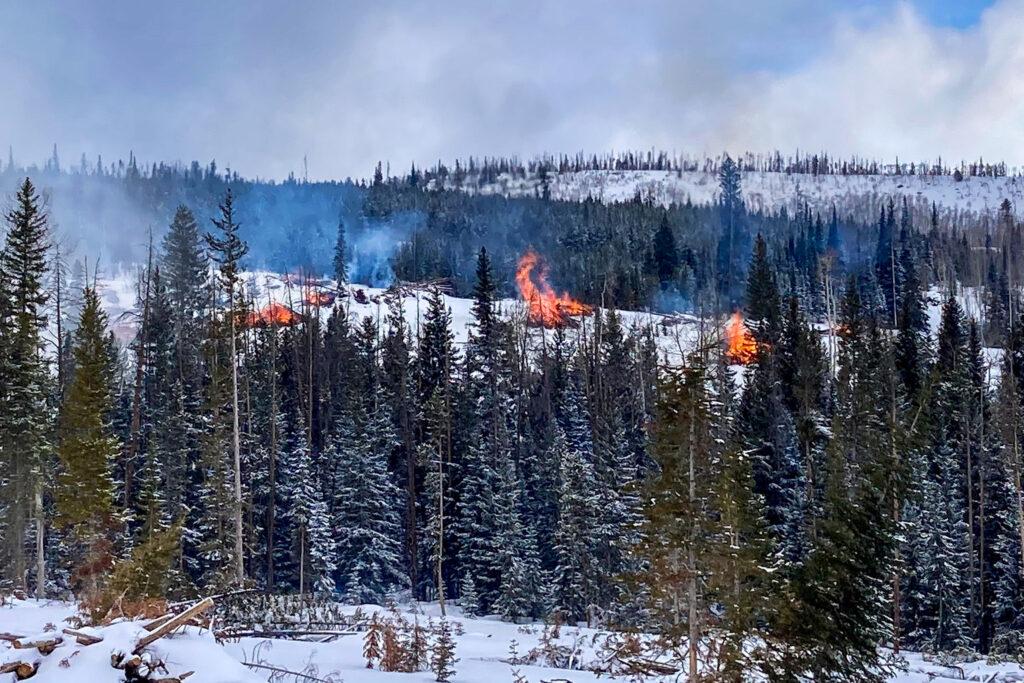 Several fires burn with dead trees as snow sits on the ground.