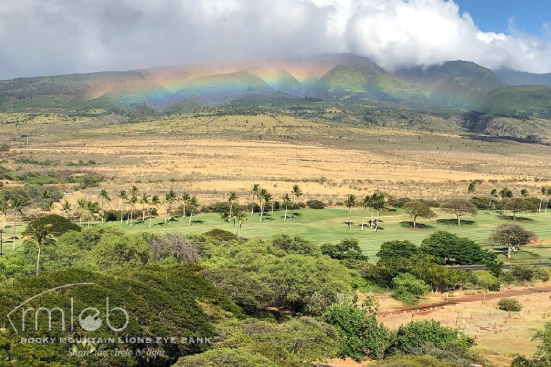 picture of a landscape in Hawaii with a rainbow misting in front.