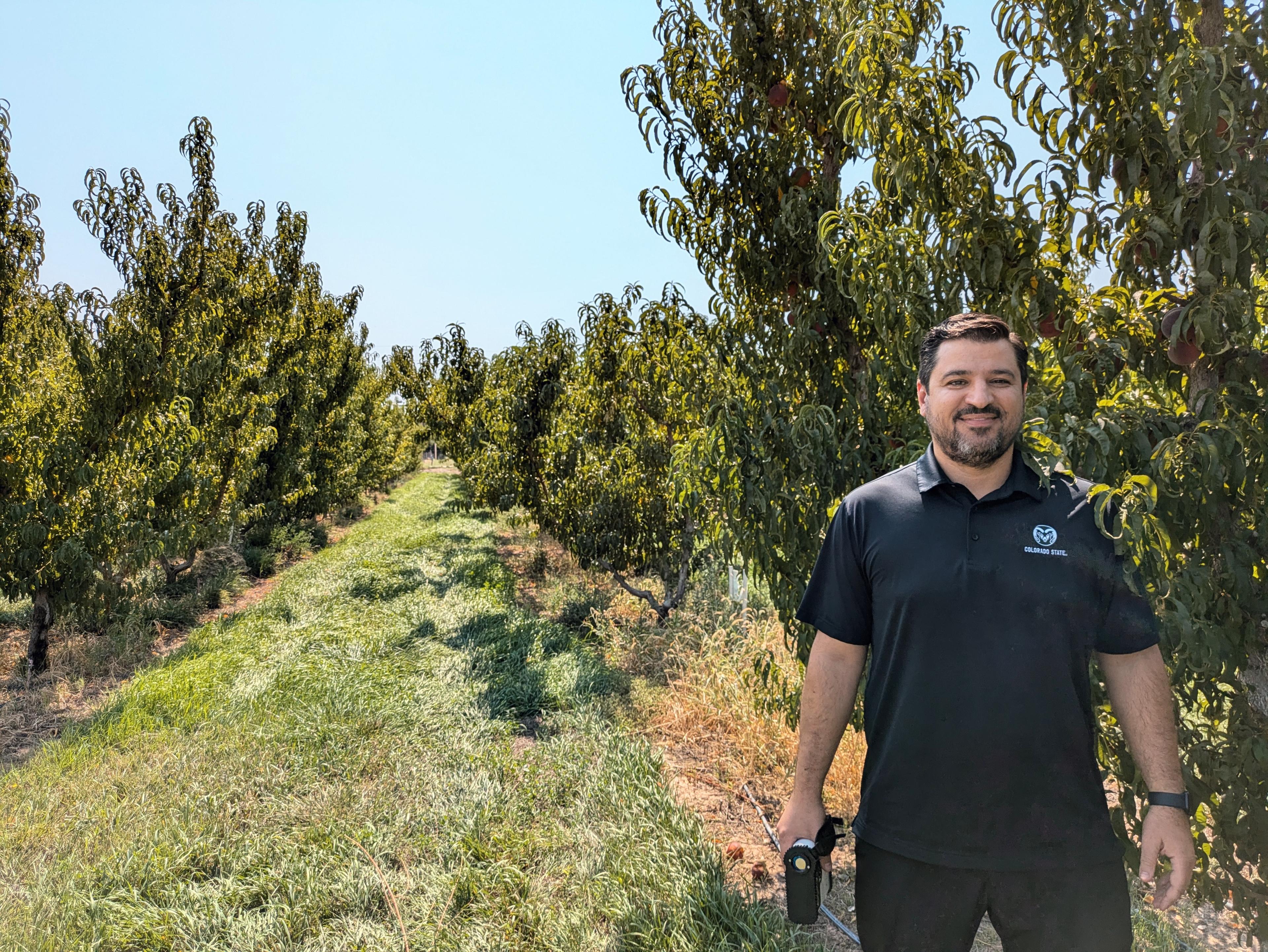 Ioannis Minas, wearing a black polo shirt with a Colorado State University logo, stands in between a row of peach trees.