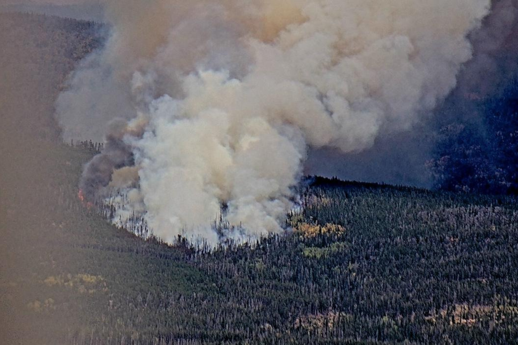 A view of the Pearl Fire