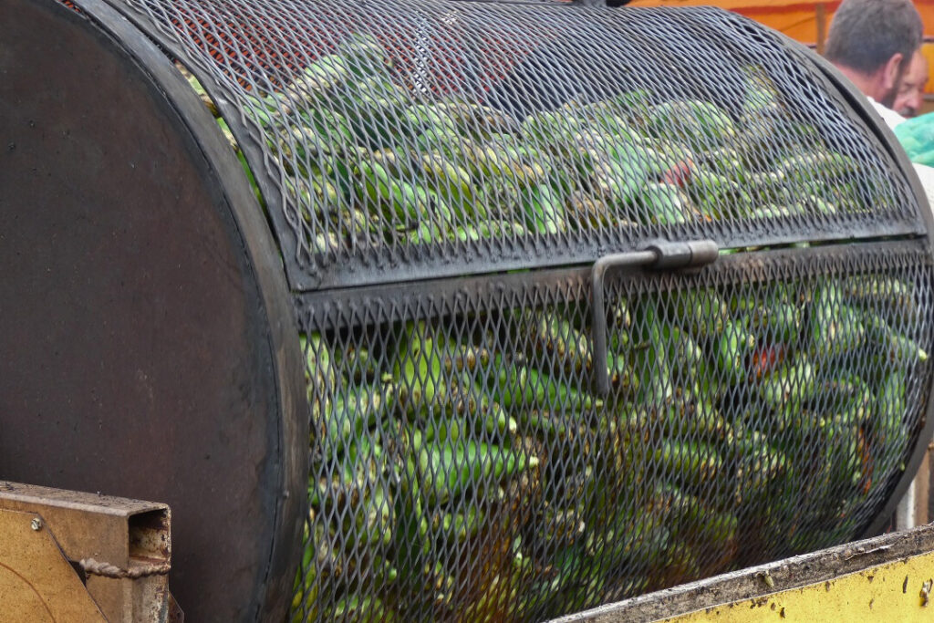 Chiles roasting in metal cages