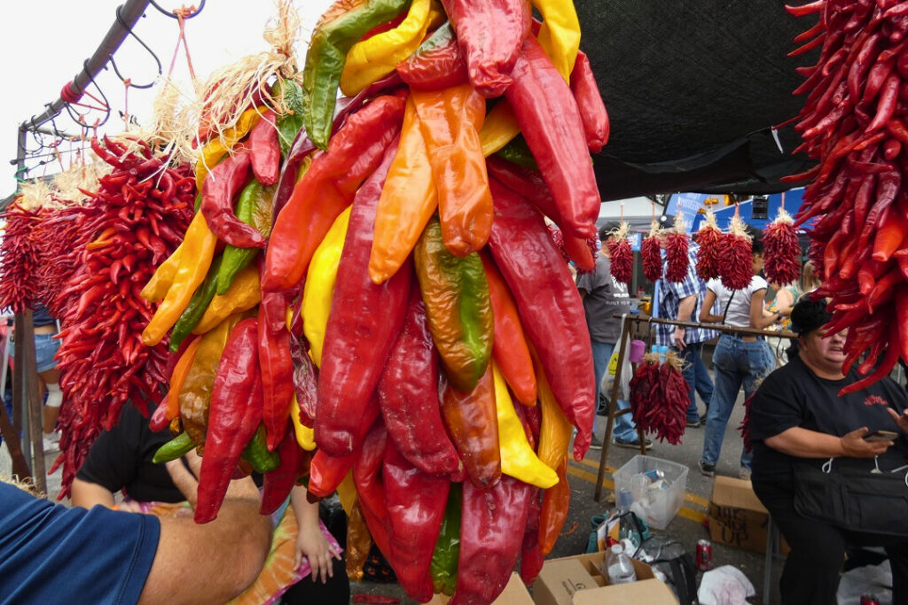 Dried chiles hang from a string hooked to a pole