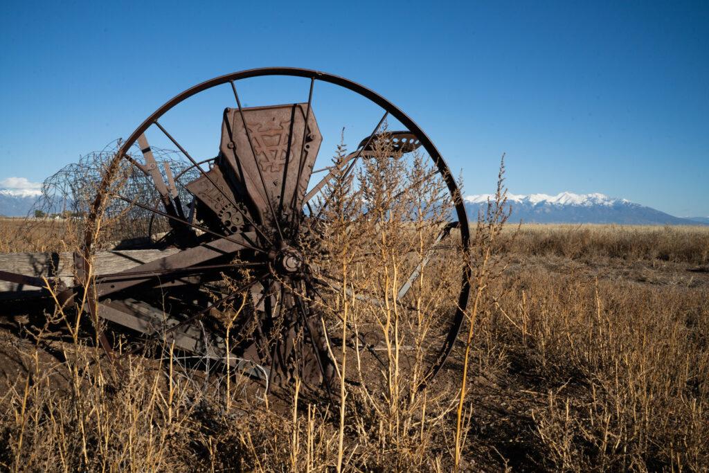 RYE-RESURGENCE-FARMING-SAN LUIS-VALLEY