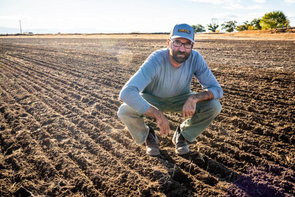 RYE-RESURGENCE-FARMING-SAN LUIS-VALLEY