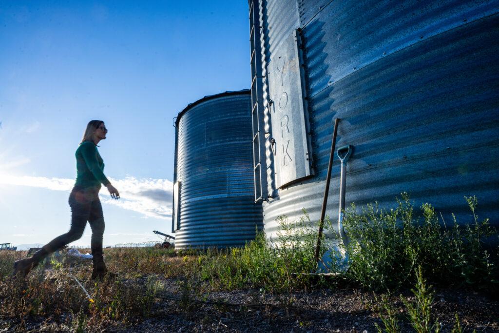 RYE-RESURGENCE-FARMING-SAN LUIS-VALLEY