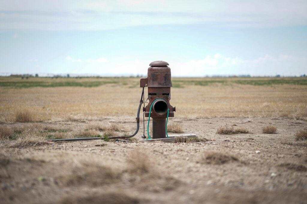 RYE-RESURGENCE-FARMING-SAN LUIS-VALLEY