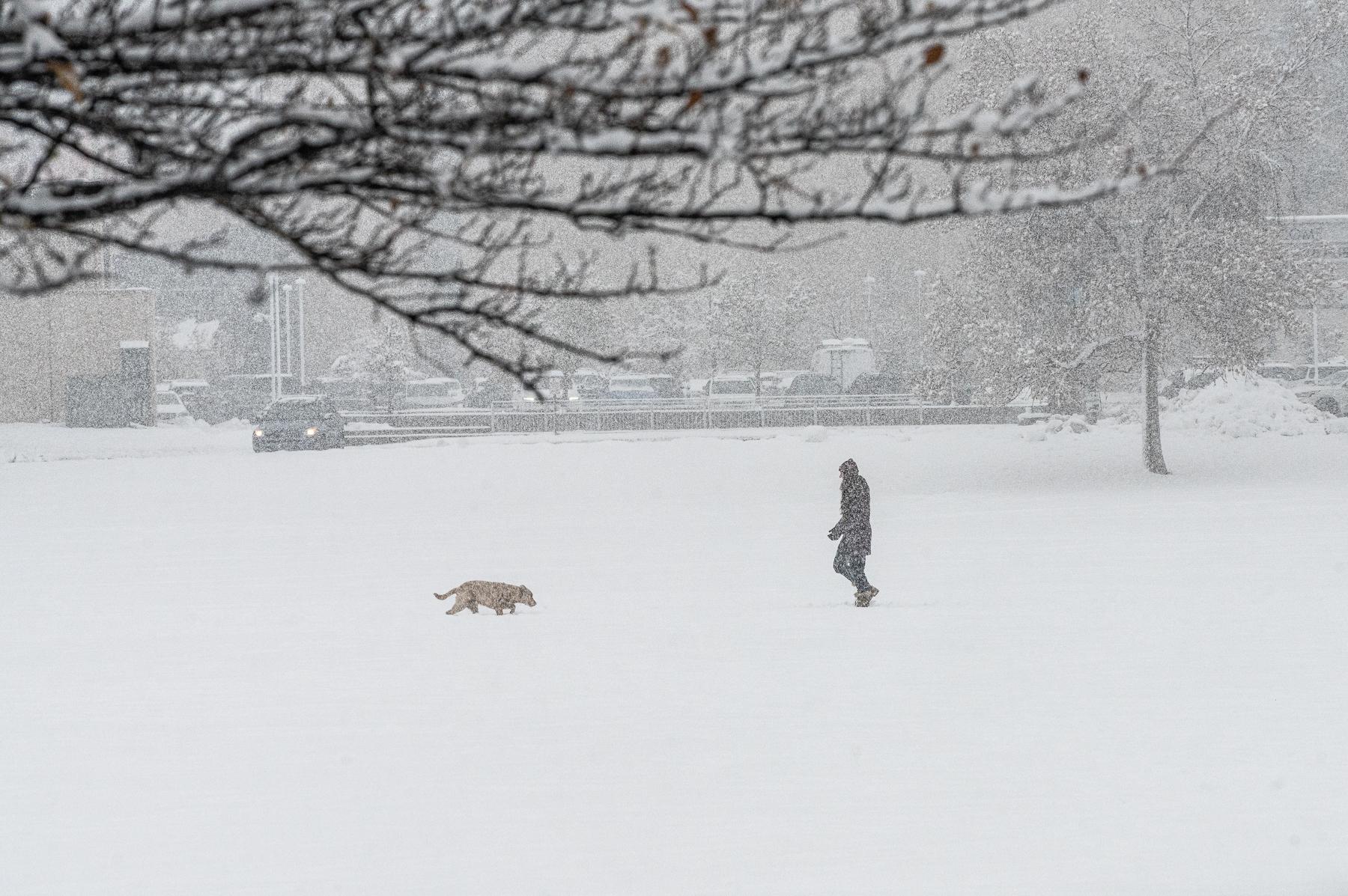 241108-winter-weather-snow-city-park