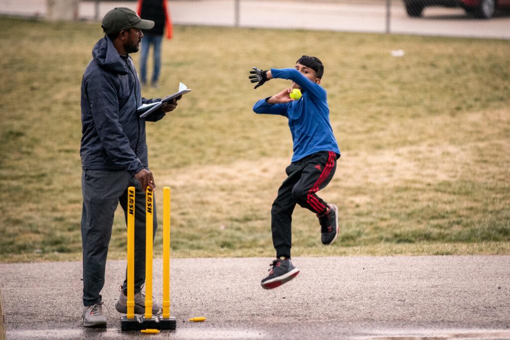 Cricket player prepares to throw a ball