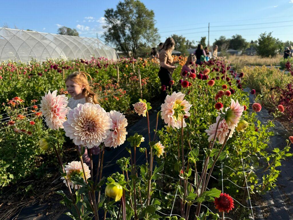 Children run through rows of flowers at a plant nursery