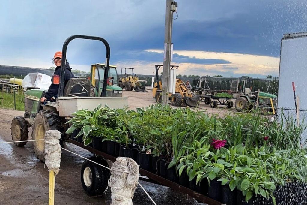 A student drives a tractor with a bed of plants on the back