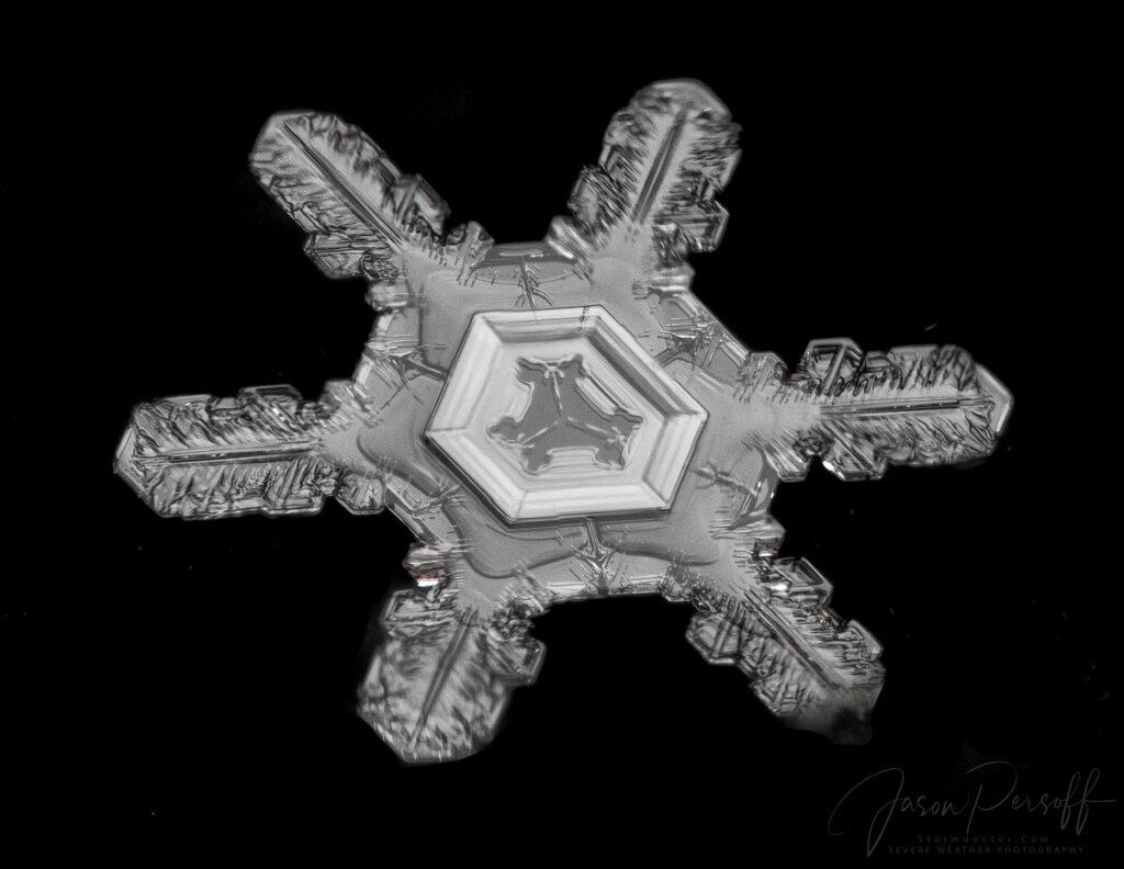 A snowflake that looks like a flower.