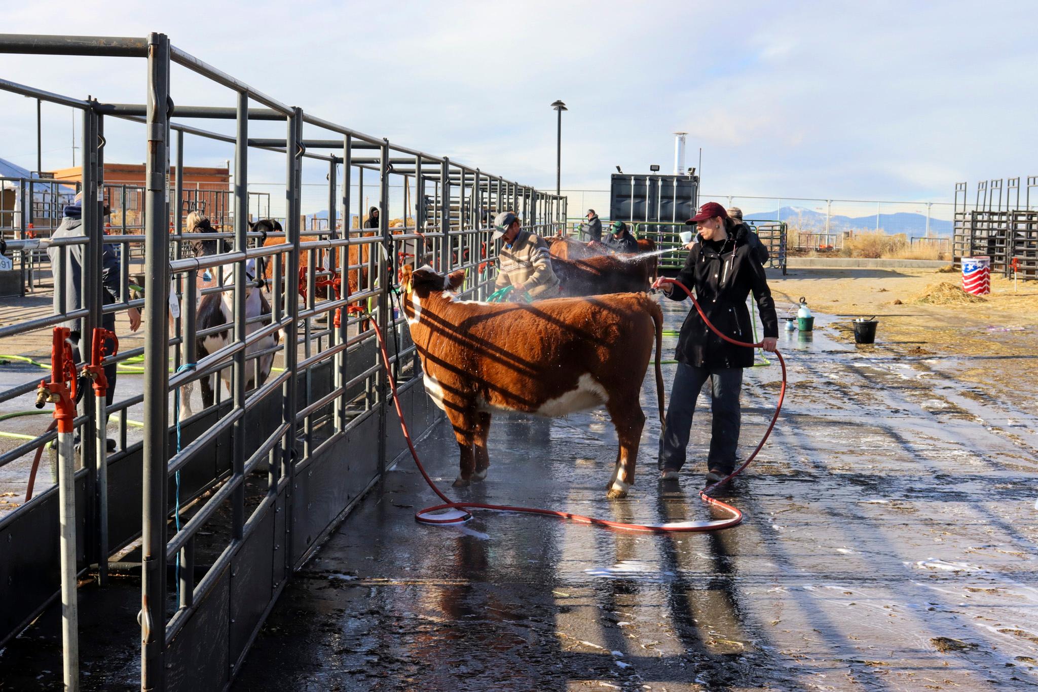 The National Western Stock Show. Jan. 13, 2025.