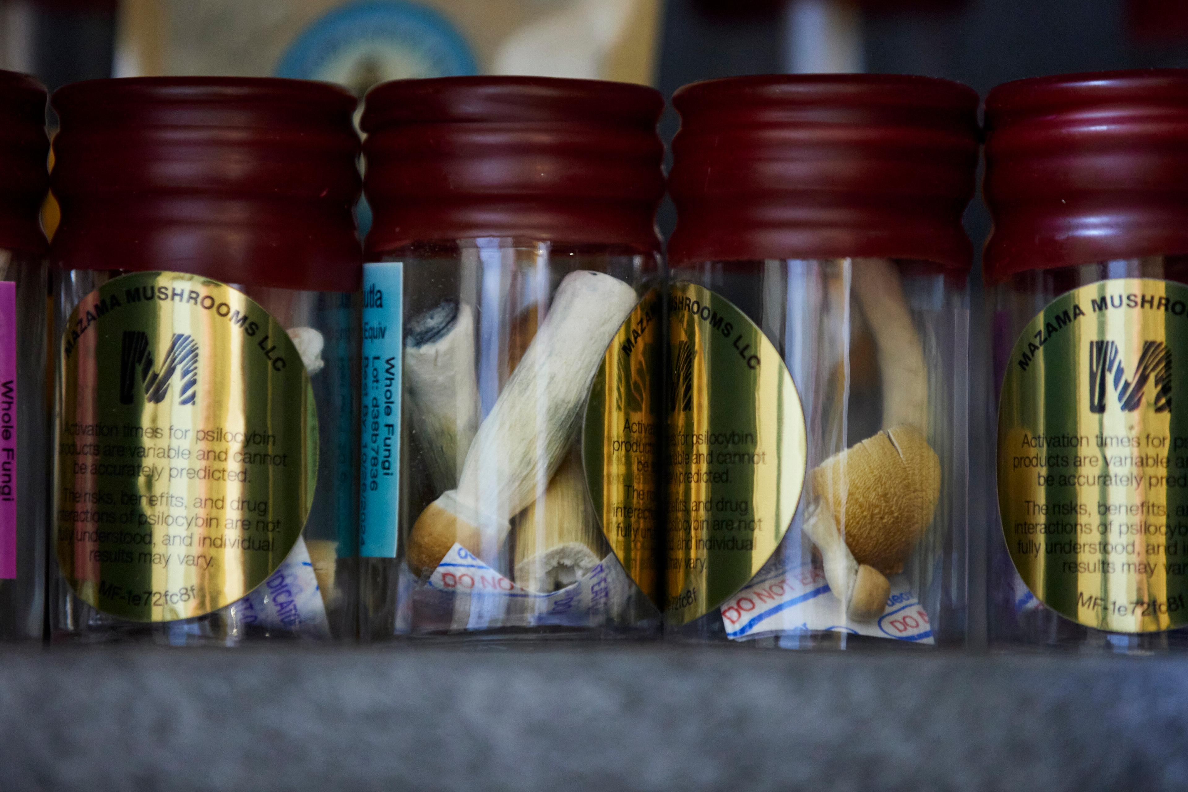 Mushrooms in jars at a psilocybin service center