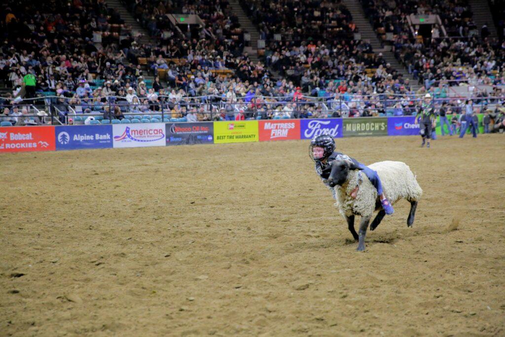 A young boy in a helmet riding a sheep races across the ring .