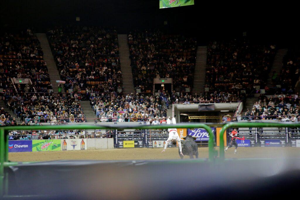 Manu Lataste, the bull jumping pro, jumps a charging bull during the Mexican Rodeo Extravaganza. He is midair, diving headfirest over the bull.