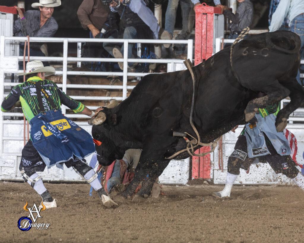 picture is dynamic image of a bull with white braces on its legs to the right of a bullfighter dresed also in white leg braces as well as a cowboy hat and loose baggy clothes