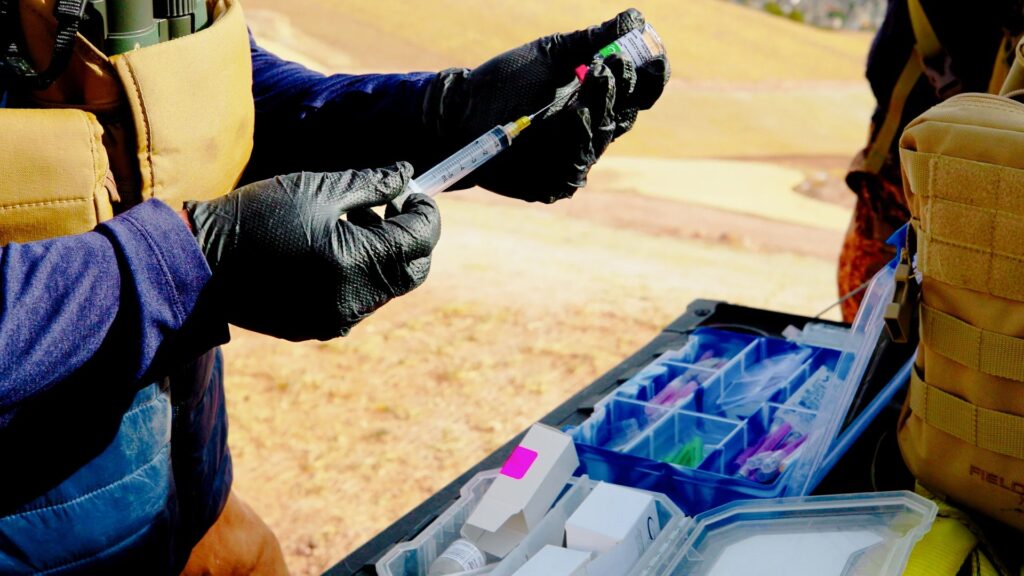 Two gloved hands prepare a tranquilier dart