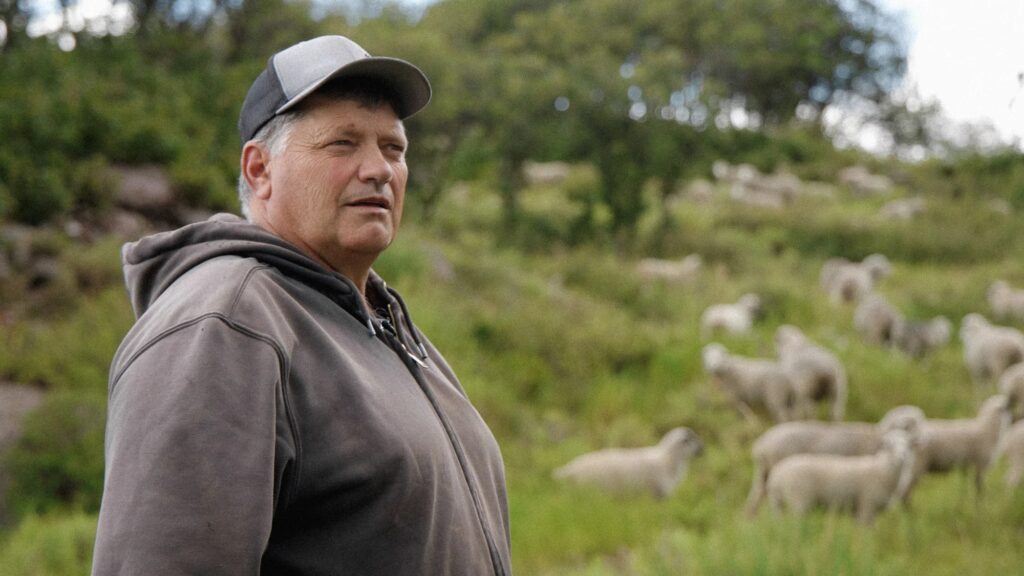 Ernie Etchart stands in a field with sheep in the background