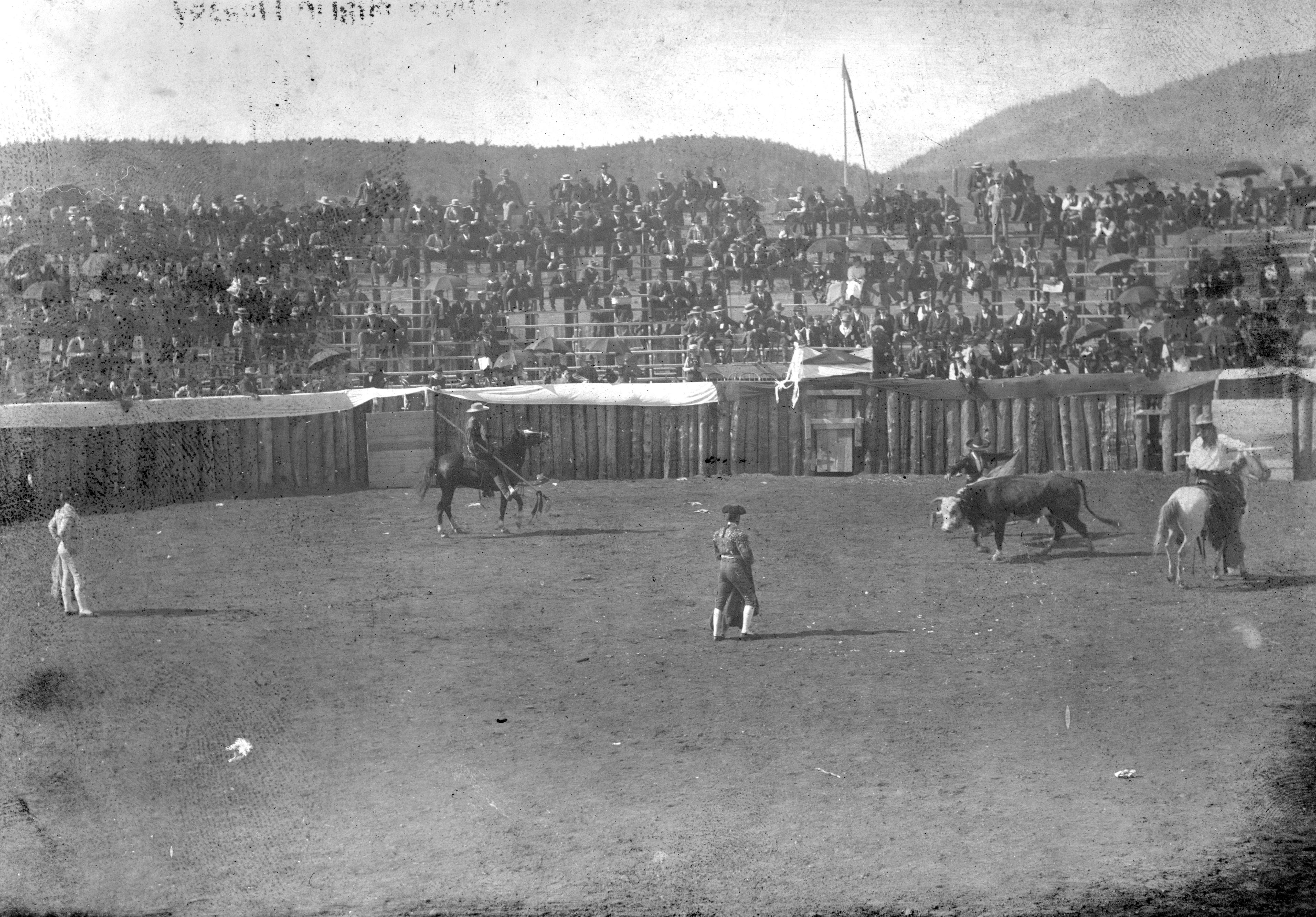 large arena with three bulls and five bullfighters on a large earthen field